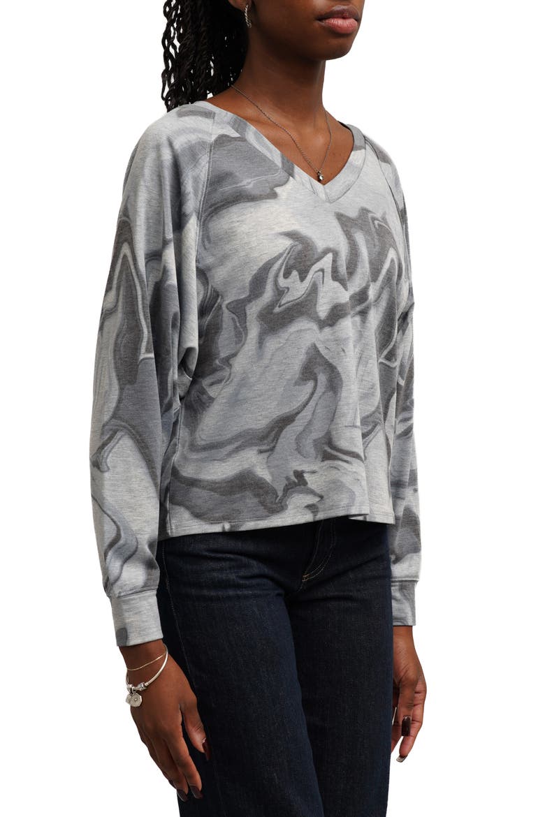 V-Neck Raglan Dolman Top, Alternate, color, KATHLEEN BLUE COMBO