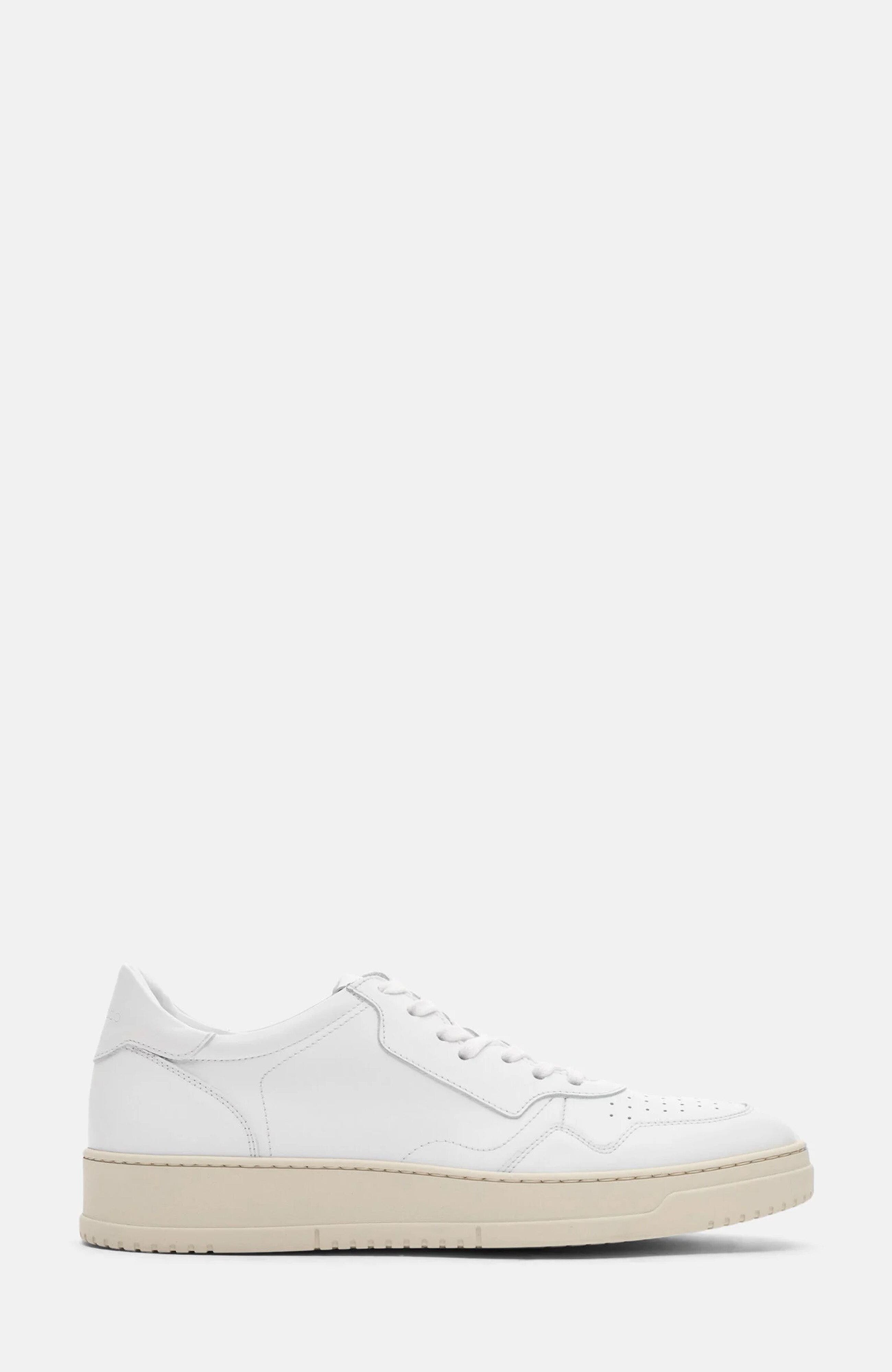 SCAROSSO Alex Sneakers, Alternate, color, 