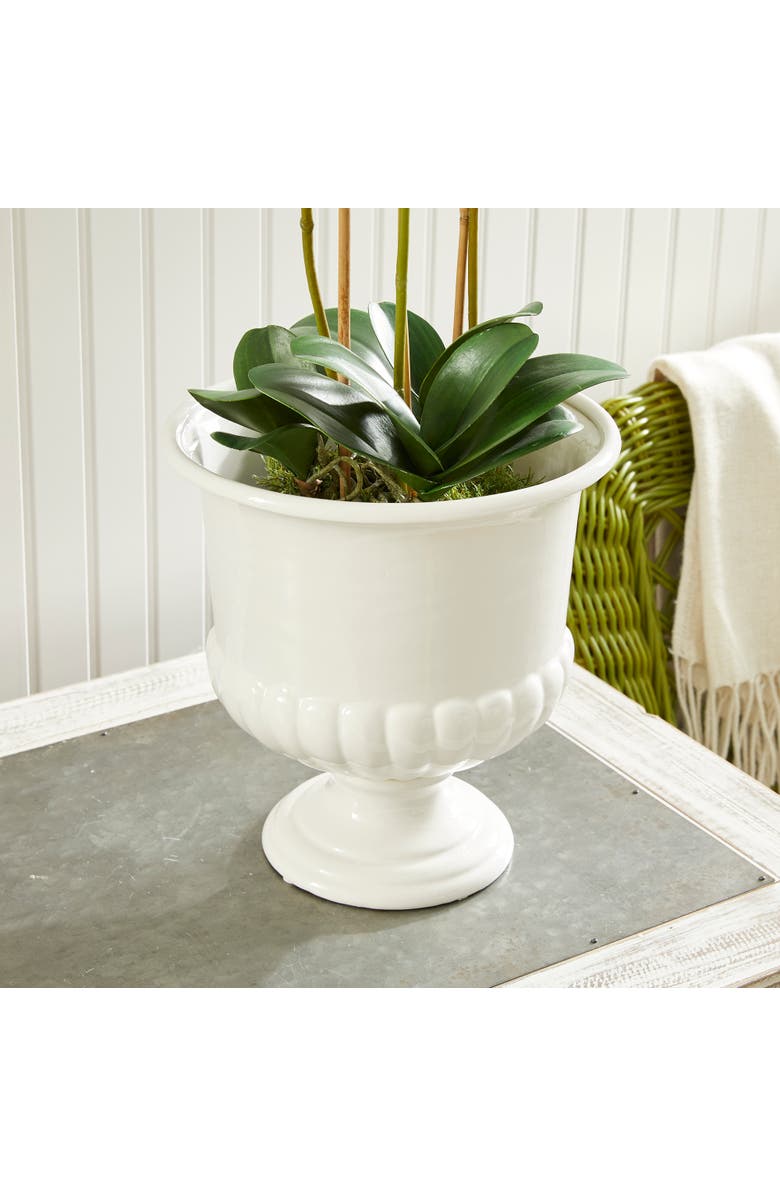 Napa Home & Garden Mirabelle Decorative Pedestal Bowl, Alternate, color, White