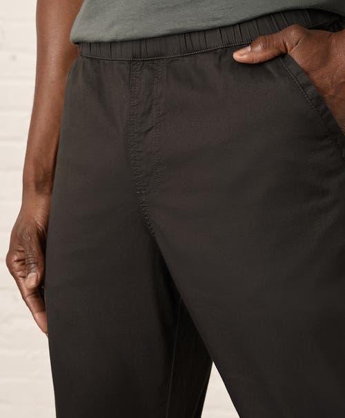 Pact Organic Cotton Daily Twill Midweight Pant In Oak