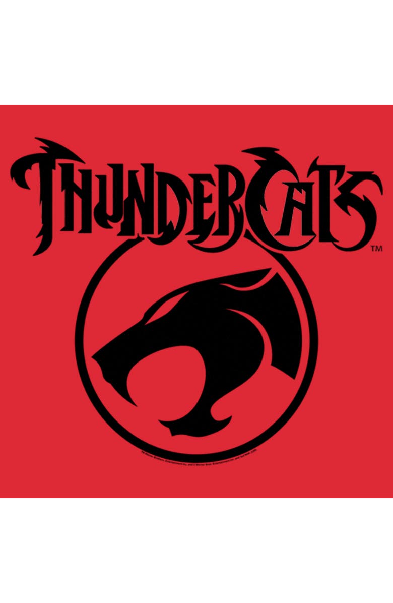 ThunderCats Men's ThunderCats Circle Logo  Graphic T-Shirt, Alternate, color, Red Heather