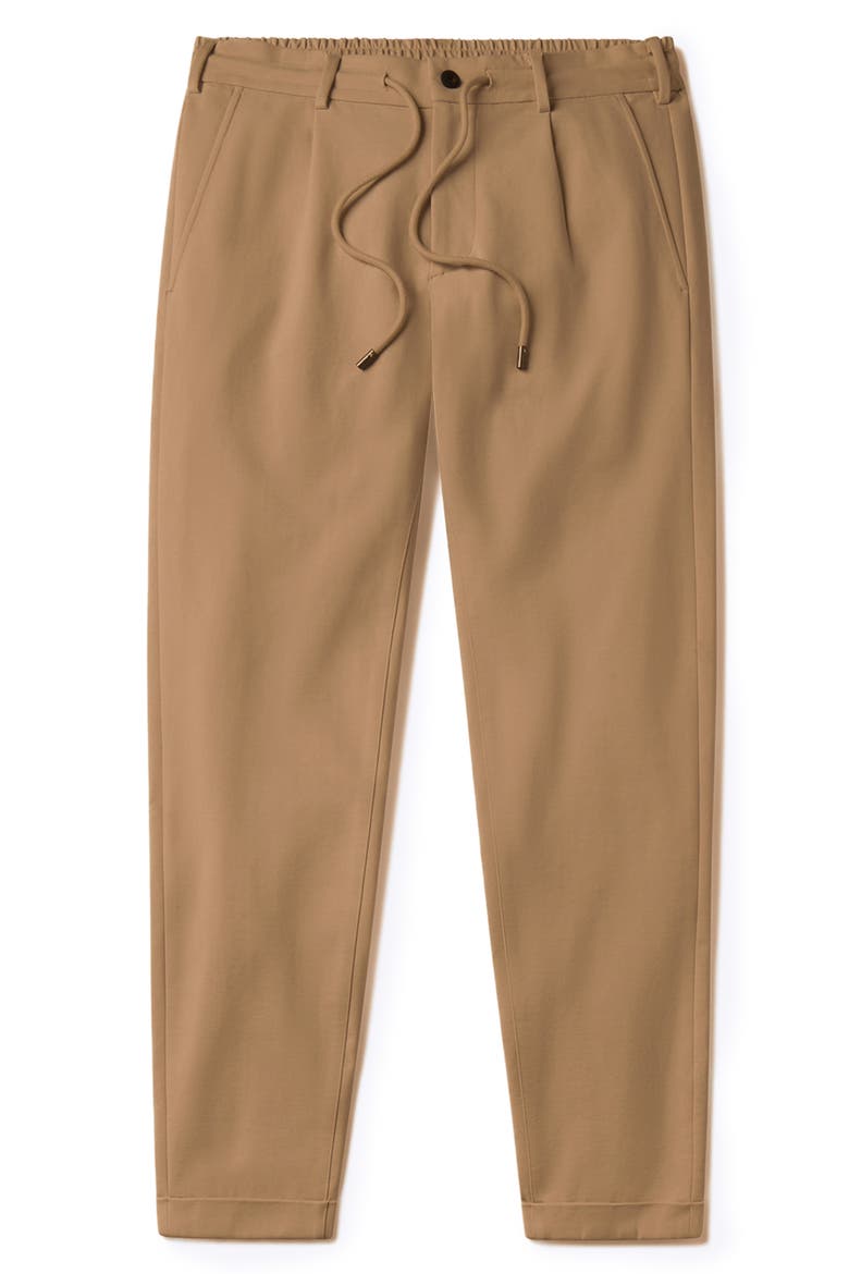 Soho Pleated Stretch Trousers, Alternate, color, SADDLE