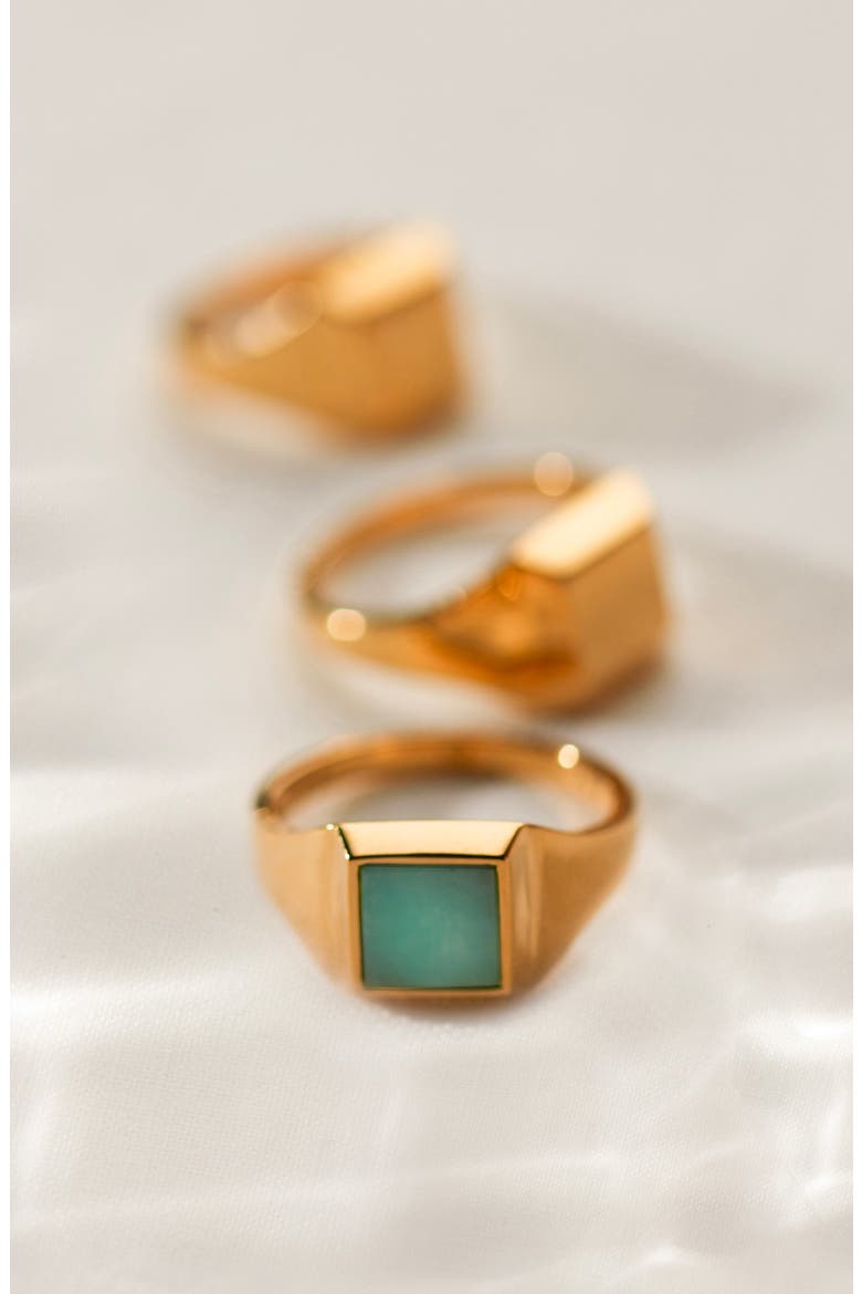 Signature Vermeil Signet Ring, Alternate, color, YELLOW GOLD