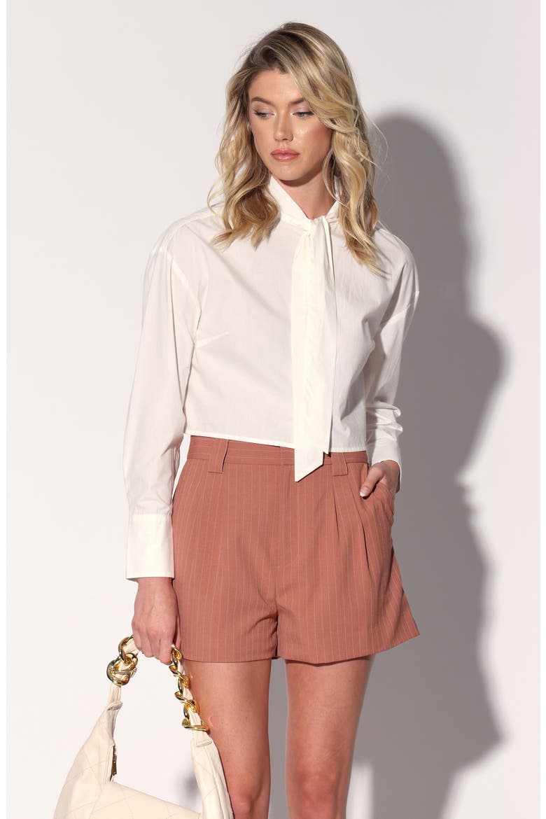 Beau Shorts, Alternate, color, CLAY PINSTRIPE