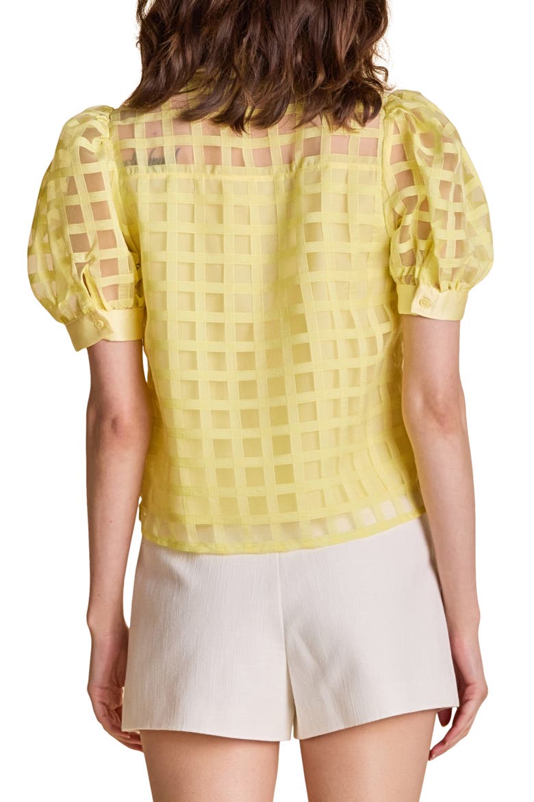 Puff Sleeve Organza Top, Alternate, color, LIGHT YELLOW