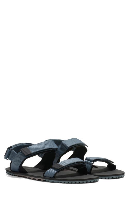 Xero Shoes D-trail Sandal In Black