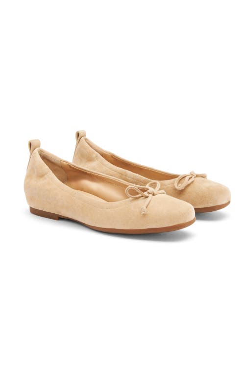 Abeo Cadence Bow Ballet Flat In Cuban Sand Suede - Metatarsal