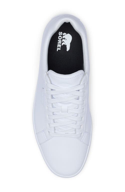 Sorel Cyprus Lx™ Sneaker In White