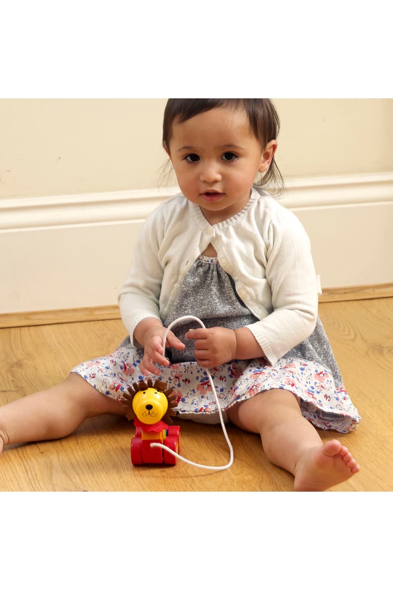 Pull Along Lion Wooden Toy, Ages 1+, Alternate, color, Multicolored