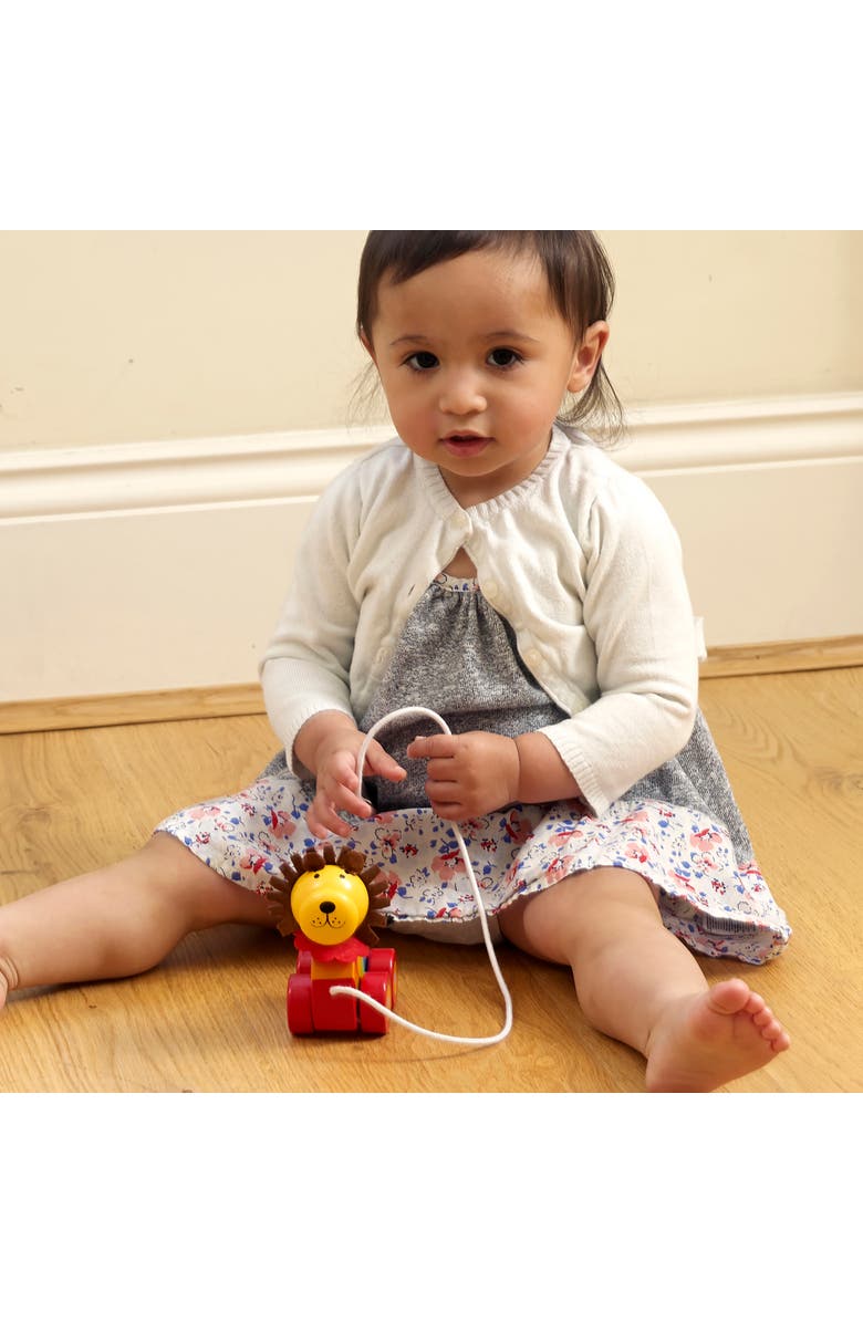 ORANGE TREE TOYS Pull Along Lion Wooden Toy, Ages 1+, Alternate, color, Multicolored