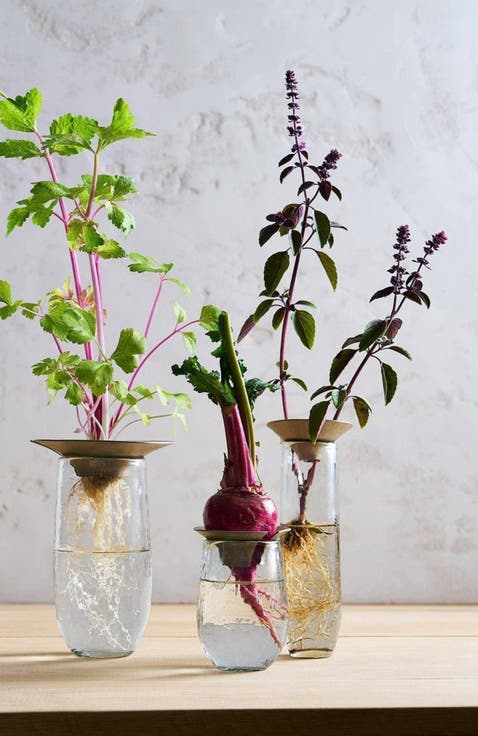 Floral Propogate Assorted - Set of 3