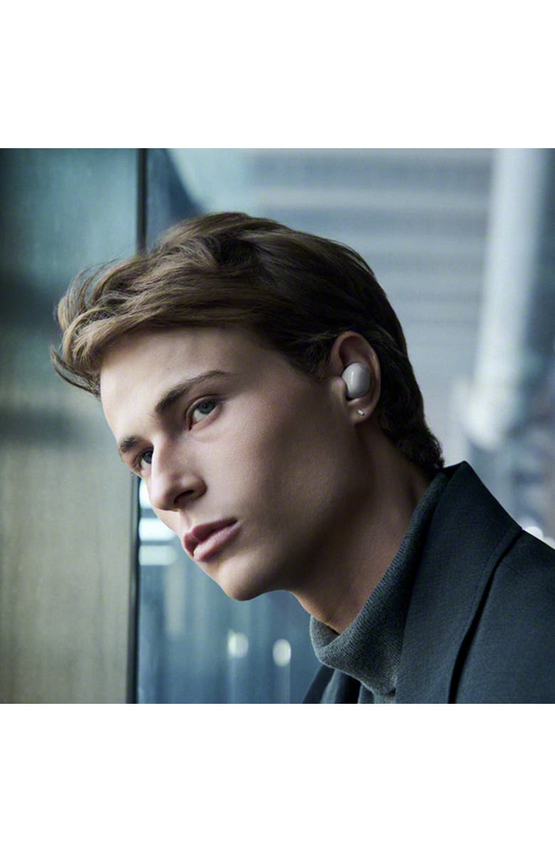 Sony WF-1000XM6 Truly Wireless Noise Cancelling Earbuds, Alternate, color, Silver