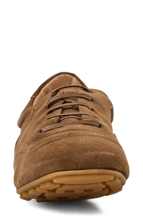 Aquatalia Qrystal Water Repellent Sneaker In Brown
