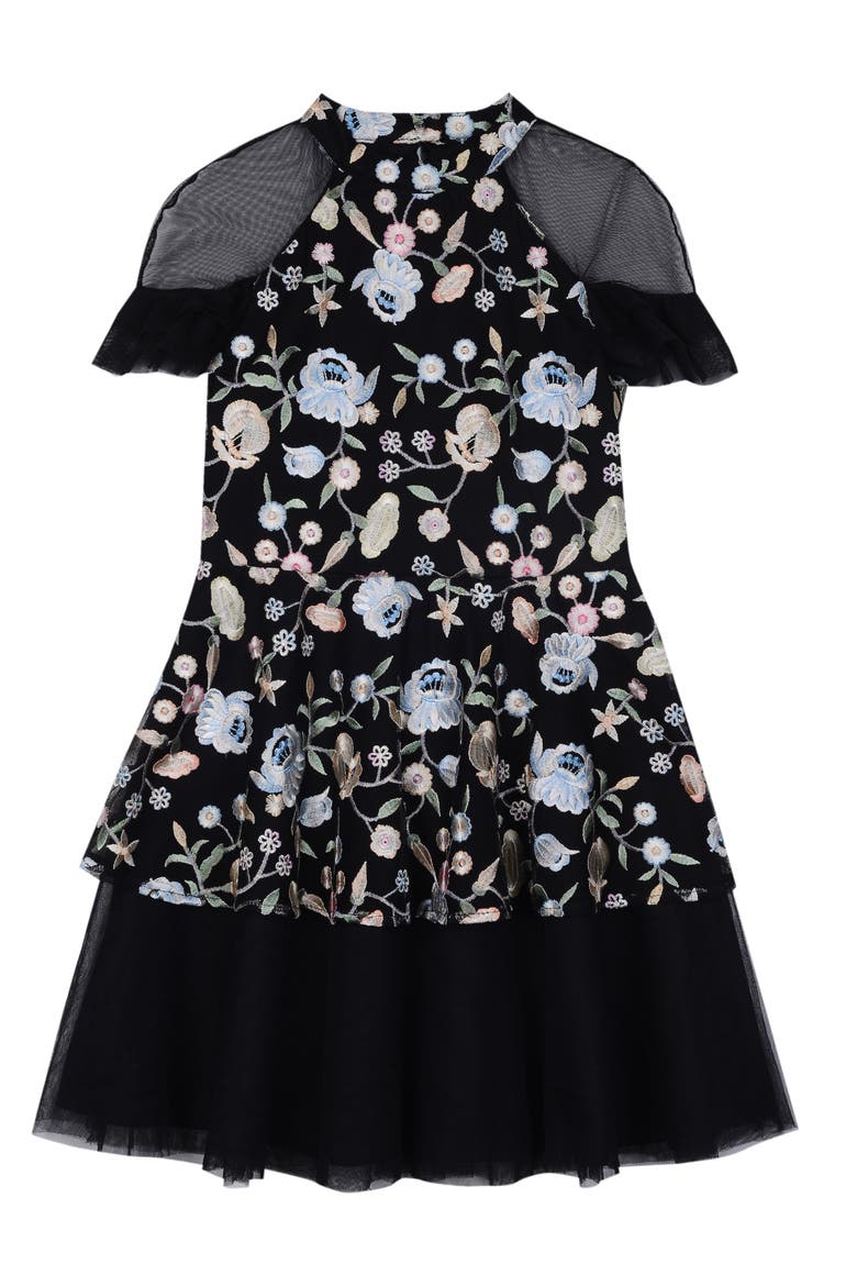 Embroidered Mesh Dress, Main, color, BLACK