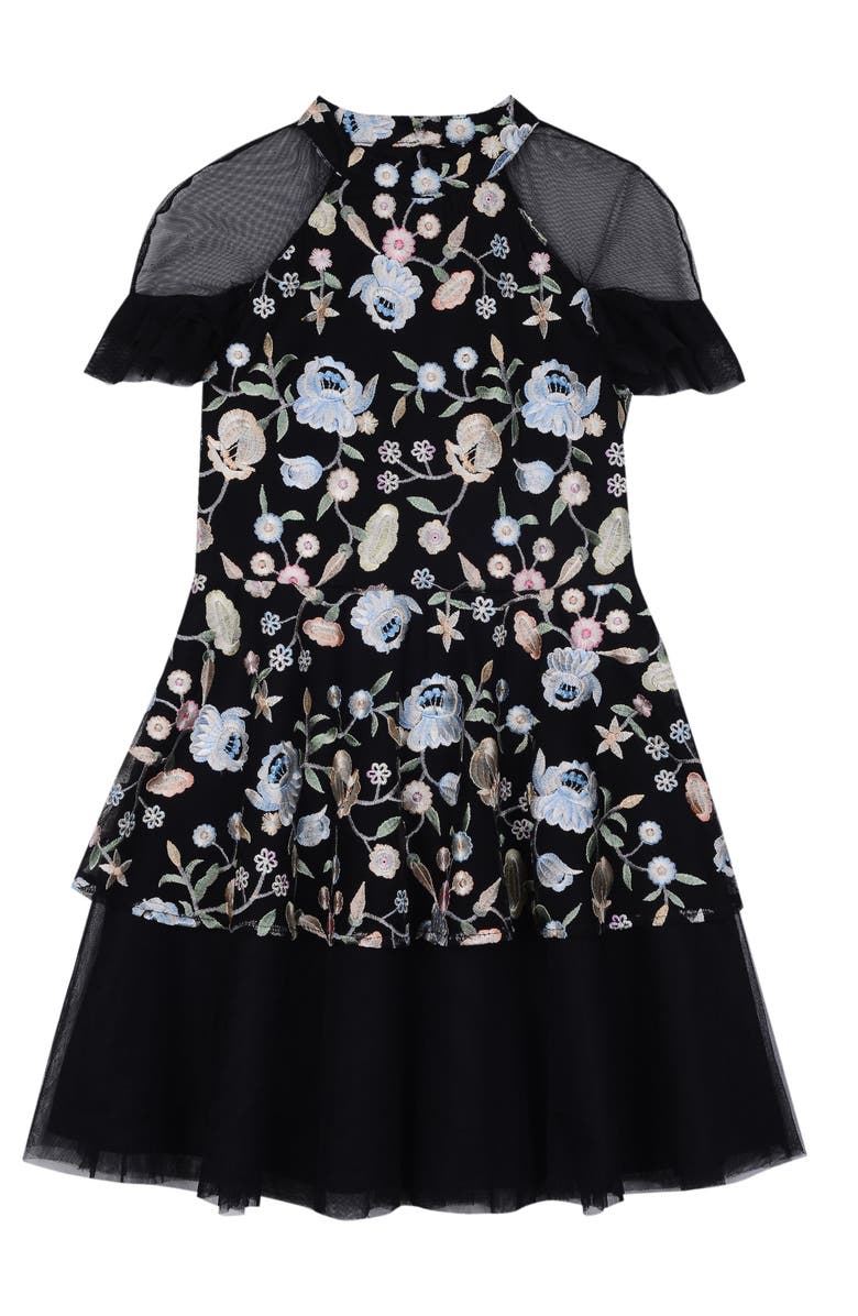 Pippa & Julie Embroidered Mesh Dress, Main, color, 