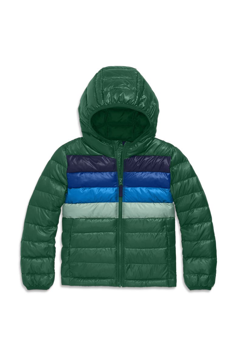 Kids Puffer Jacket In Stripe, Main, color, Evergreen Placed Stripe