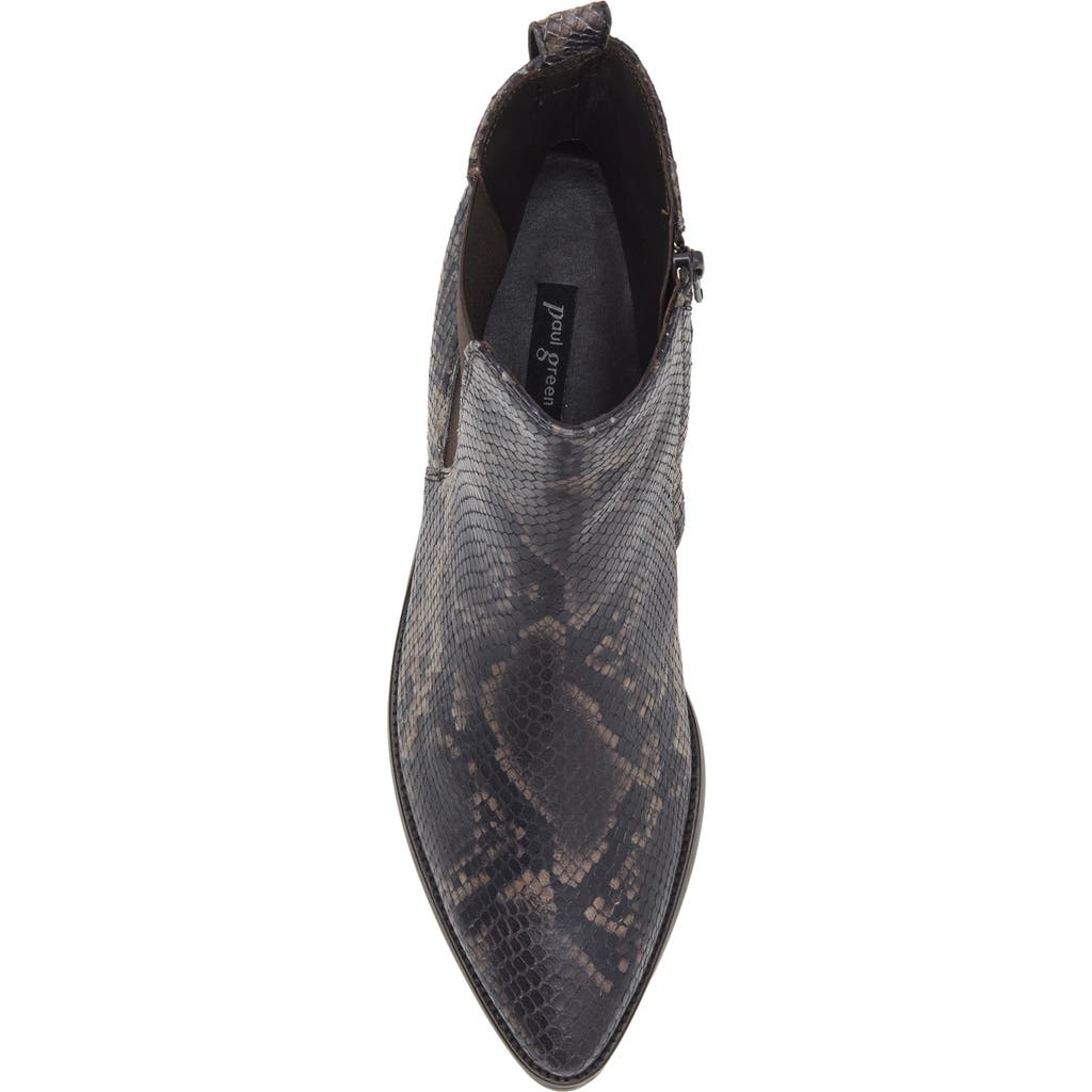Paul Green Celina Pointed Toe Bootie In Multi