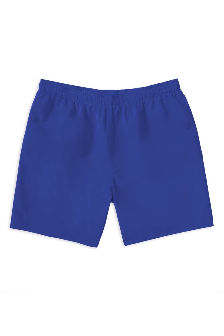 Big & Tall Quick-Dry Swim Trunks, Alternate, color, BLUE