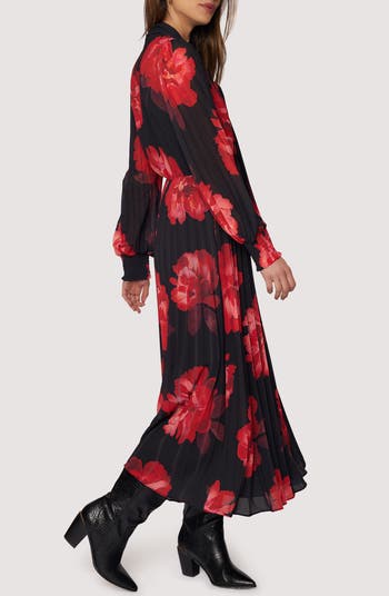 Scarlet Melody Floral Long Sleeve Maxi Dress