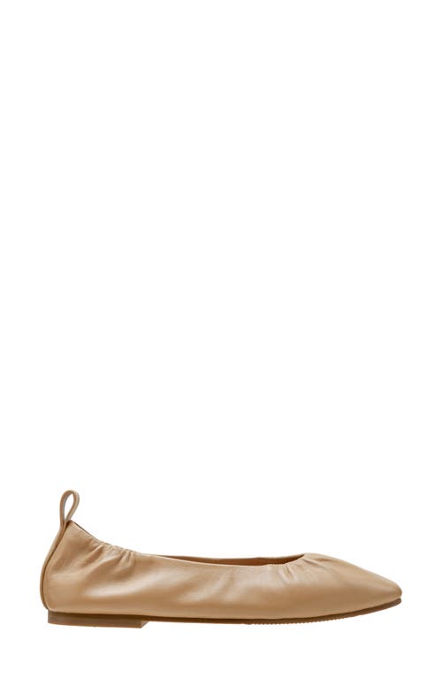 Linea Paolo Newry Ballet Flat In Desert