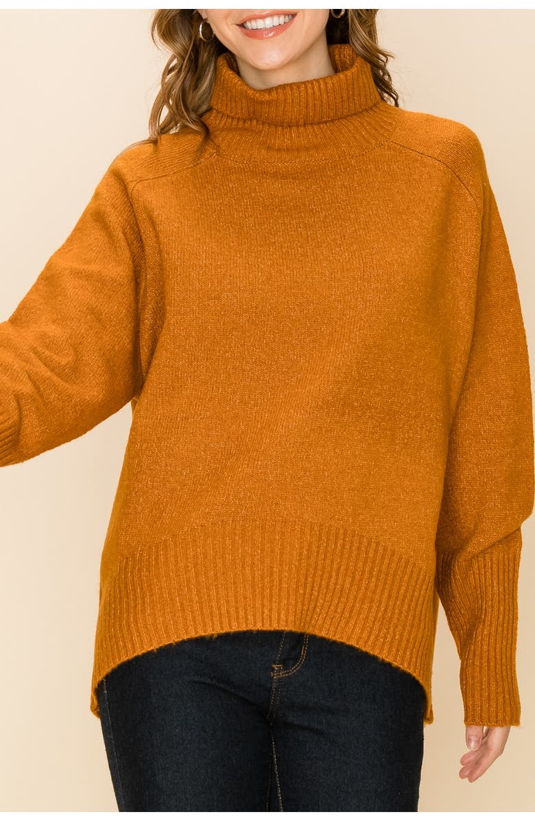 Double Zero Loose Fit Turtle Neck Sweater, Main, color,