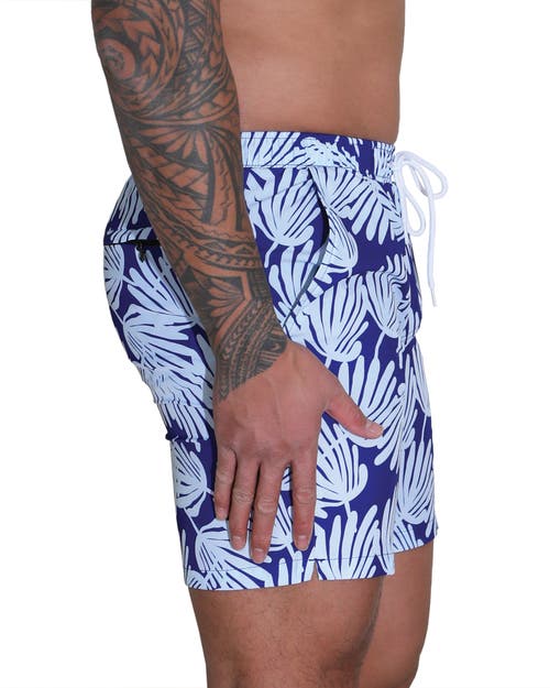 Mosmann Australia Board Shorts In Blue