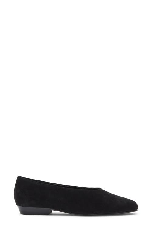 Jeffrey Campbell Collene Ballet Flat In Black