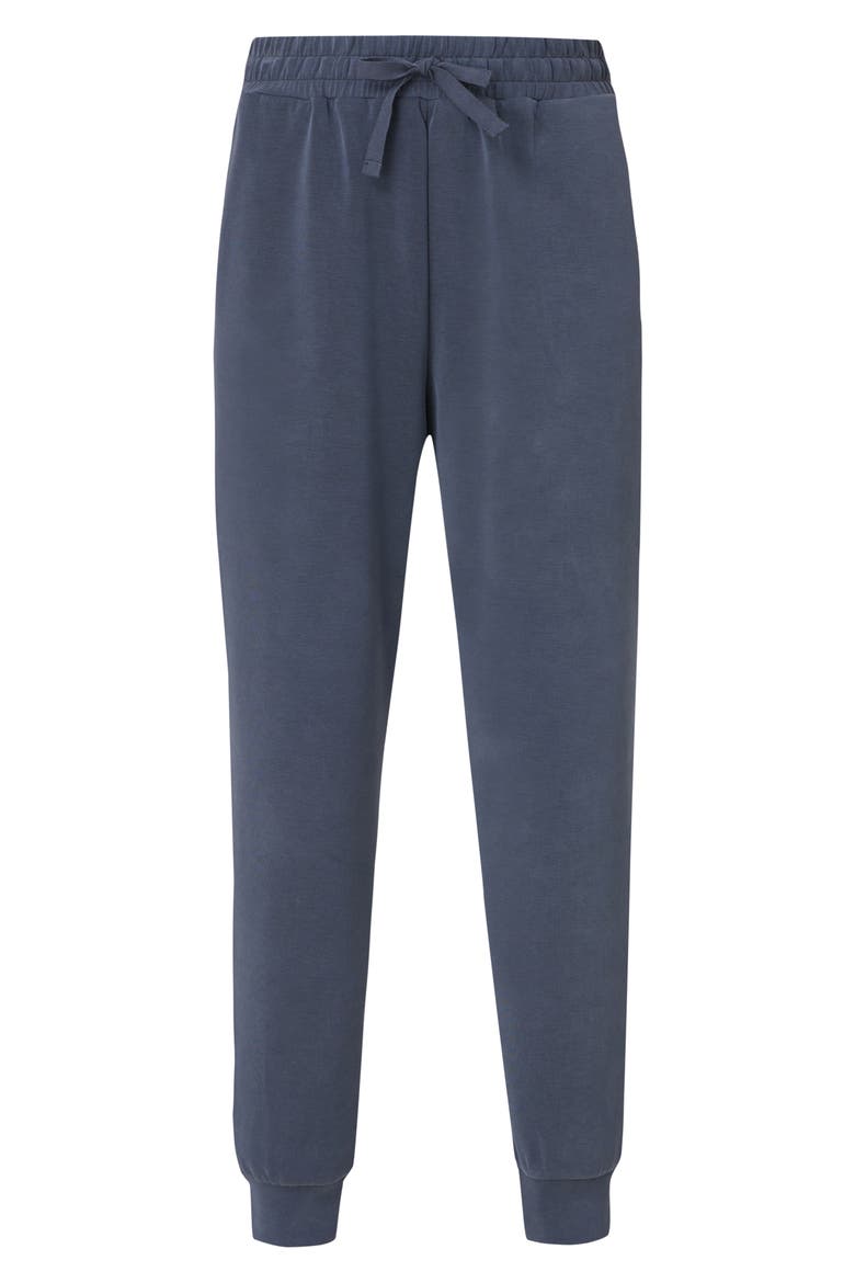 Sand Wash Joggers, Alternate, color, FRENCH NAVY