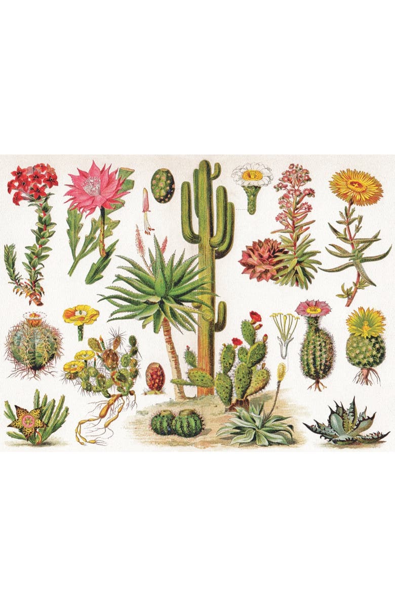 NEW YORK PUZZLE COMPANY Cacti ~ Cactus 1000 Piece Puzzle, Alternate, color, NO COLOR