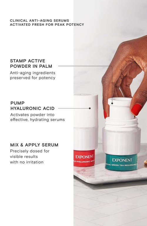 Exponent Beauty Calm Revival Green Tea Resveratrol + Hyaluronic Acid Power Serum Set $98 Value In Transparent