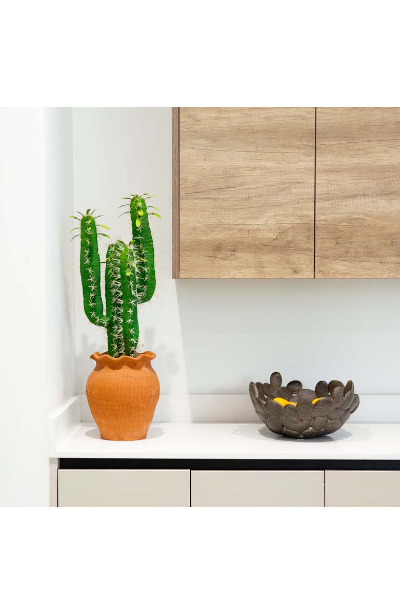 NEARLY NATURAL 28-in Artificial Cactus in Terracotta Planter, Alternate, color, Green