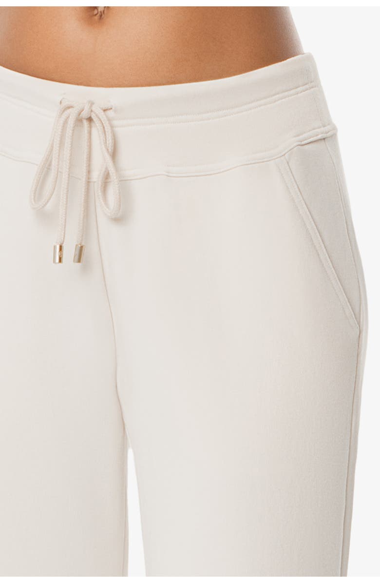 HELEN JON Ankle Pant, Alternate, color, Stone