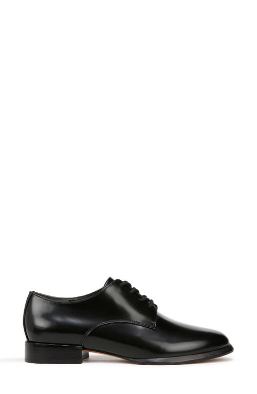Vince Niko Calf Leather Derby Shoes In Black