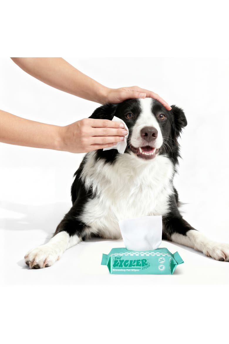 Hypoallergenic Mini Dog Body Wipes with Aloe, Chamomile & Shea Butter, Alternate, color, White - 6Pack (48ct)