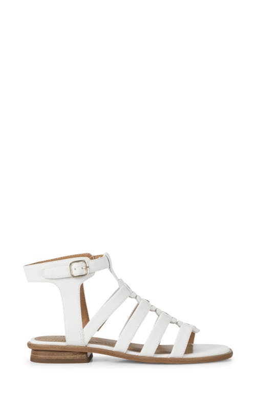 Baretraps Nathalia Gladiator Sandal In White Leather