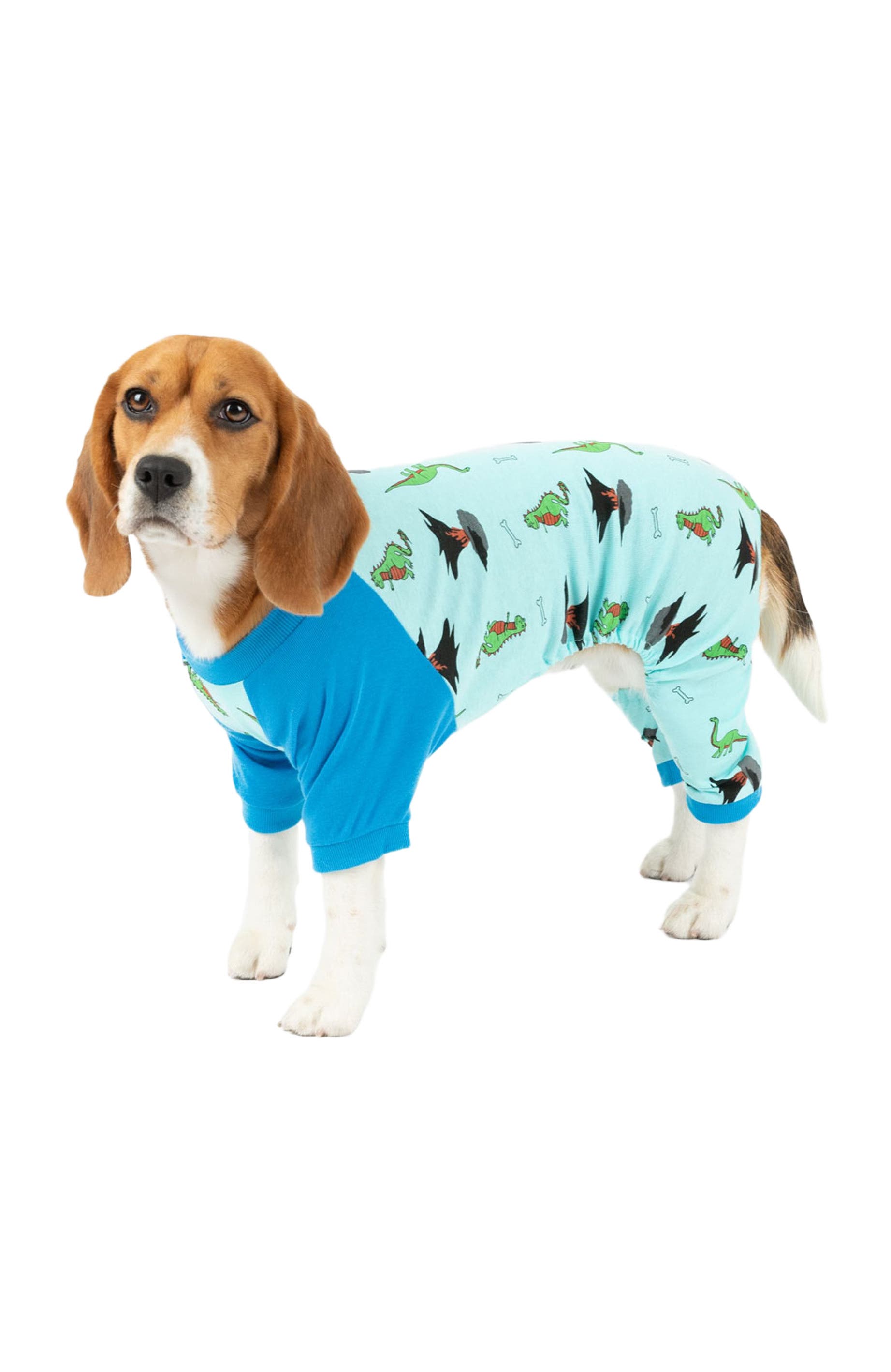 Dinosaur Blue