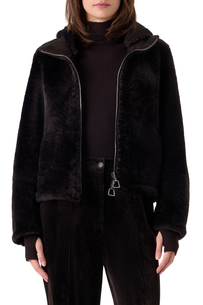 Dino Reversible Genuine Shearling Jacket, Main, color, COFFEE
