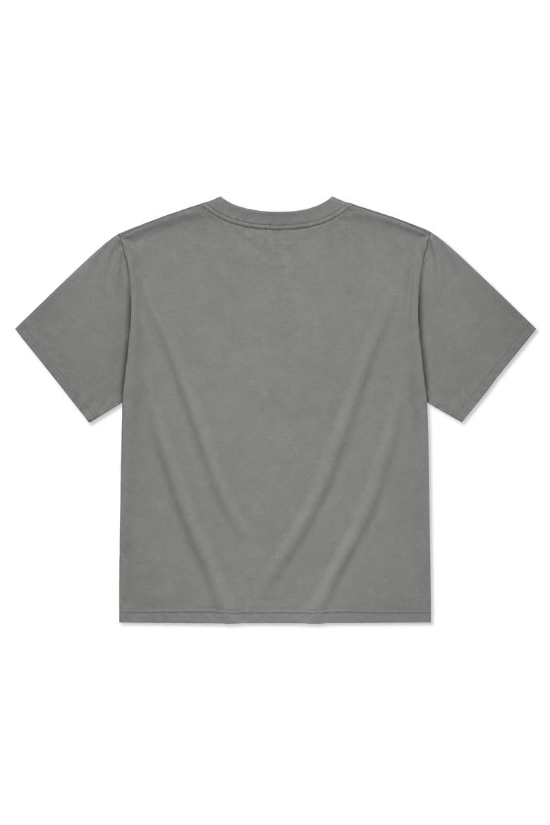 Lil Heart Relaxed Midweight Jersey Tee, Alternate, color, Shadow