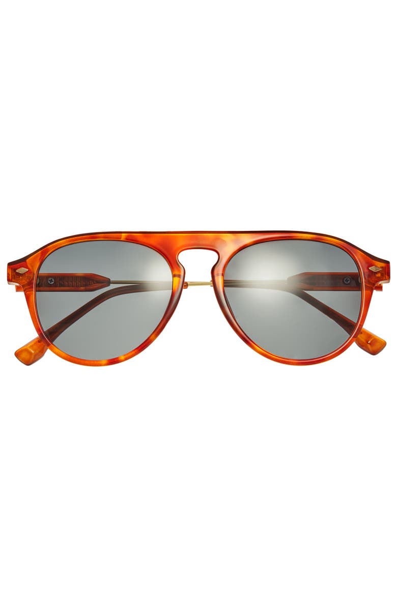 Carter Polarized Sunglasses, Alternate, color, Tortoise/Black