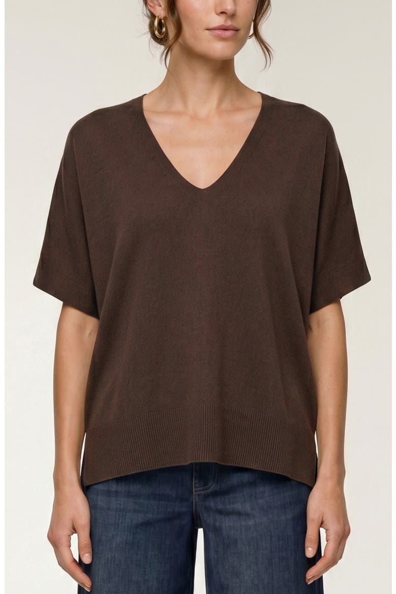V-Neck Dolman Pullover, Main, color, JAVA