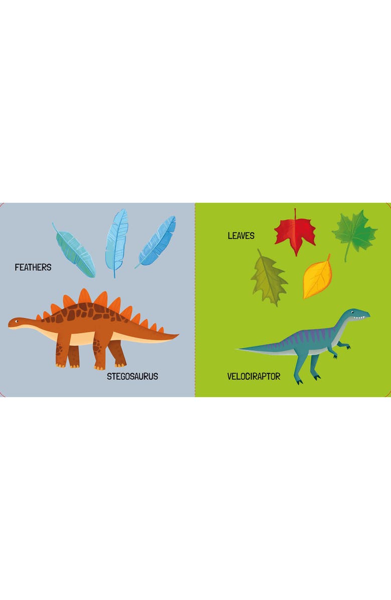 Sassi Q Box The Dinosaurs Read Play Learn Jurassic 40 Piece Set, Alternate, color, Multicolored