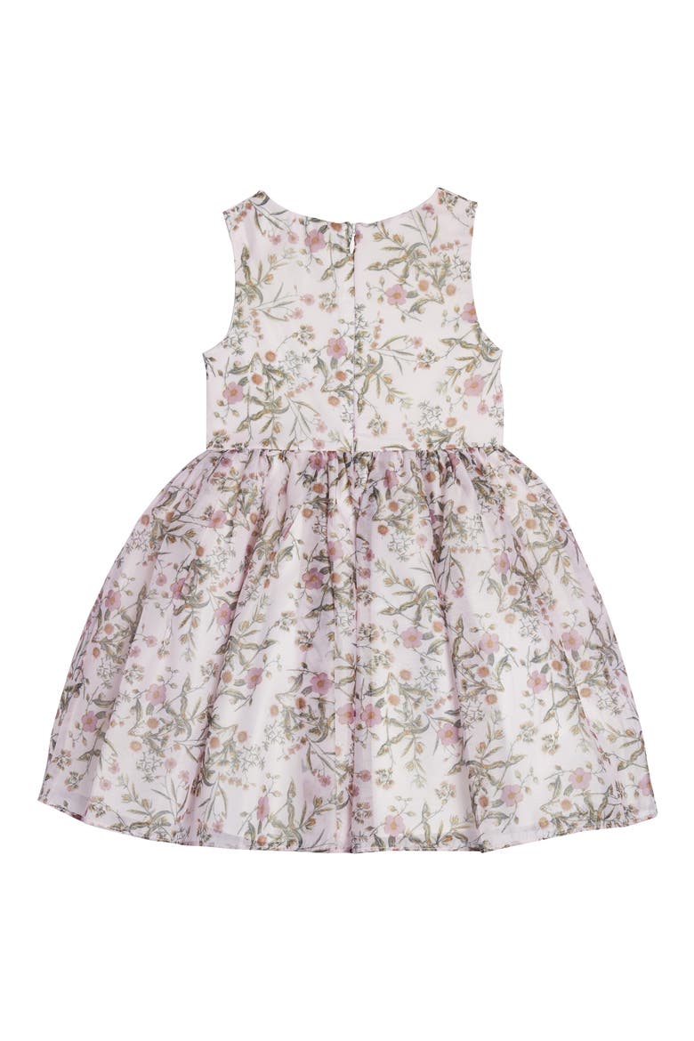 Floral Organza Dress, Alternate, color, BLUSH/ GREEN