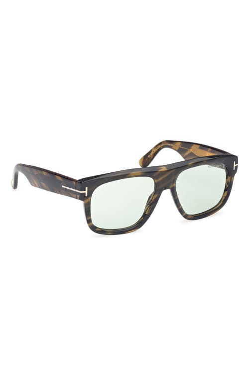 Tom Ford Men's Icon Collection Sunglasses In Brown W Amber/grey/green