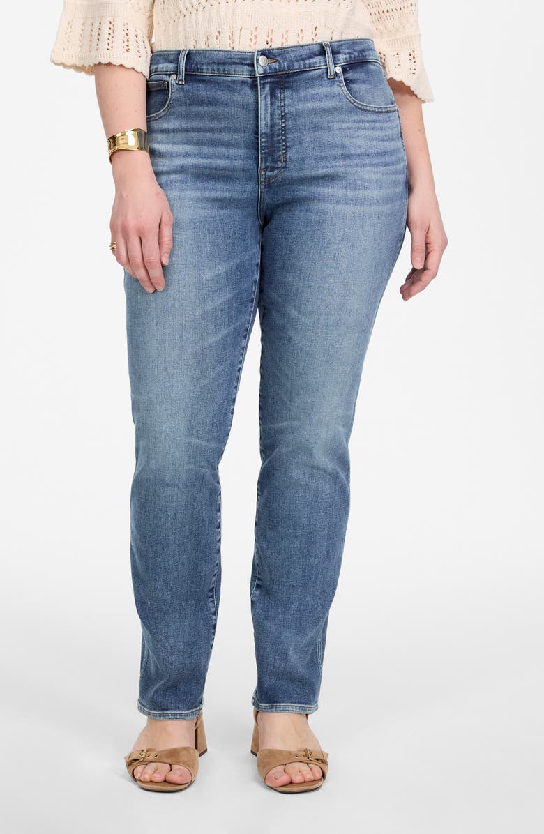 Madewell High Waist Stovepipe Jeans, Alternate, color, Ashland Wash