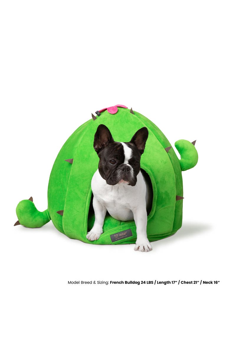 Nandog Pet Gear Fun Collection Dog and Cat Bed - Cactus Hut, Alternate, color, Green