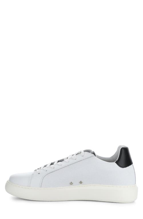 AMBITIOUS AMBITIOUS 10634A LOW TOP SNEAKER 