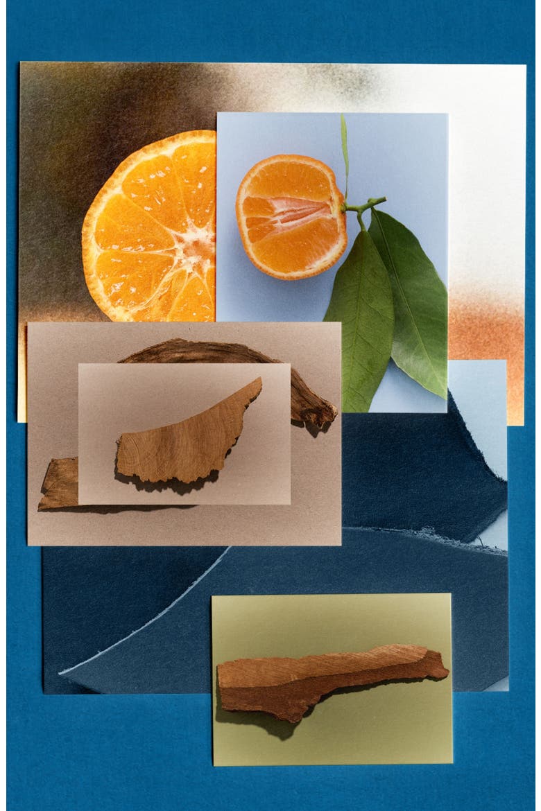 Ocean Leather Eau de Parfum, Alternate, color, NO COLOR
