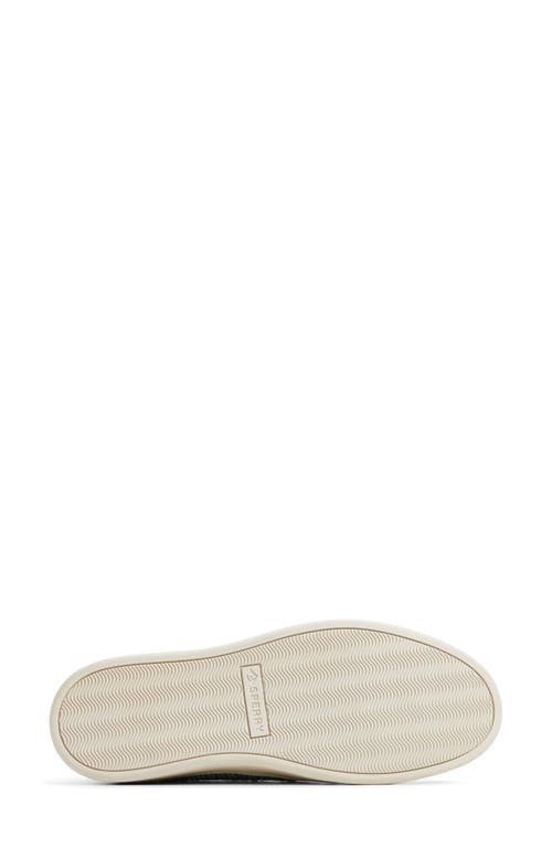 Sperry Candy Cvo Platform Sneaker