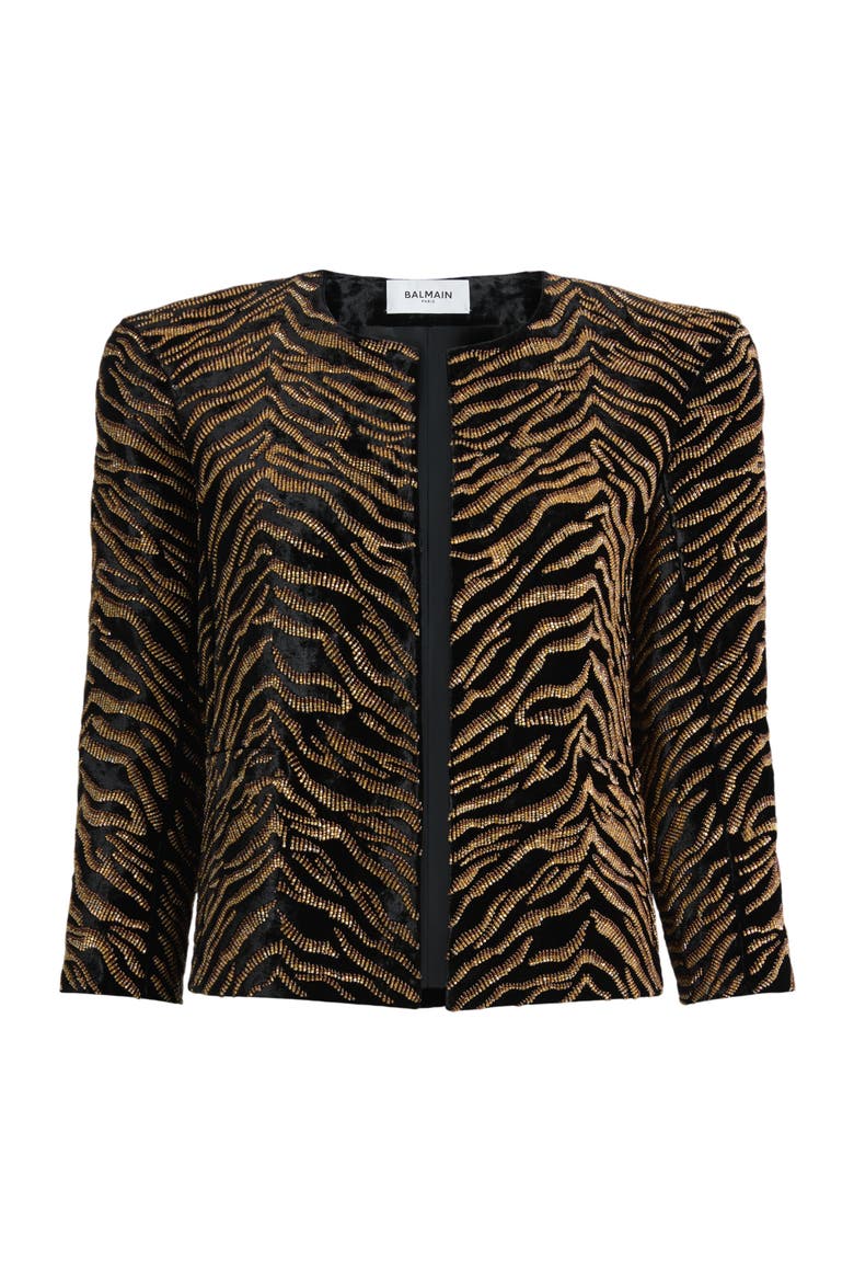 Velvet Jacket with Tiger Embroidery, Alternate, color, multicolor