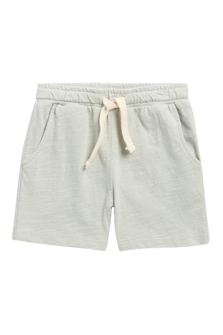 Sam Slub Cotton Shorts, Main, color, SEAFOAM
